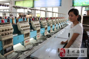 金興電腦繡花廠 計(jì)算機(jī)技術(shù)咨詢(xún)賦能智能繡花制造